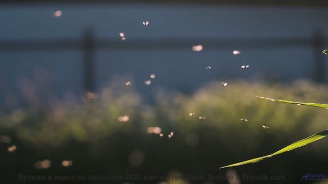 Музыка ведёт за собой сквозь поля и небо - Artificial Intelligence -- Ryan Andersen -- Pop Music