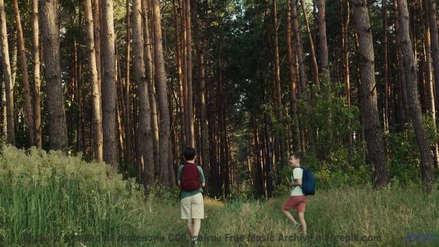 Как музыка рисует эти горы! - Ненавижу еду (Устал отдыхать) -- Александр Недугин -- Яжык Эжопа