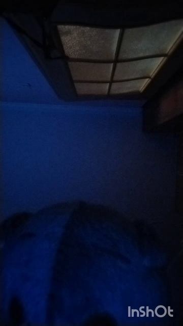 скоро новое интро🎉🤗💥✨🌷🟫️⬜🌸