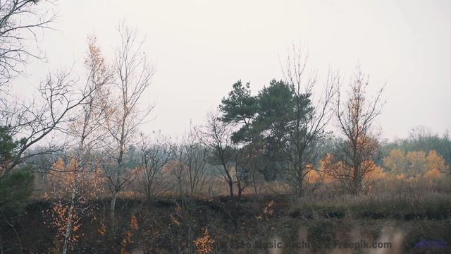 Клип, созданный блокчейном - технологии меняют искусство! - Blowing up gates -- Alex Figueira -- Men