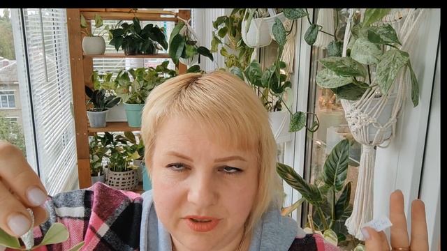 Распаковка посылки с новыми растениями 📦