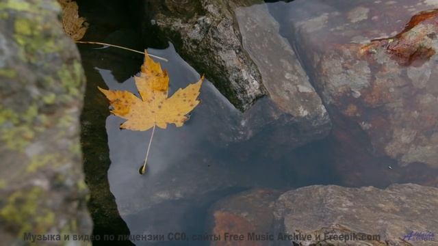 Если бы романтика была видео - это было бы оно! - A Prayer -- Kirk Osamayo -- Season Two (YELLOW)