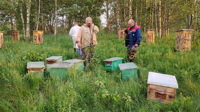 Что мы делаем с поймаными роями