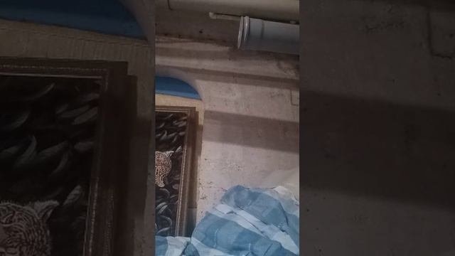 пис
