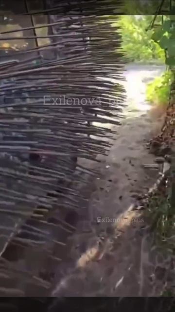 "Буханка"в модификации"Ёж"
Задумка в том,чтобы попытаться разрушить дрон до прямого попадания в корп