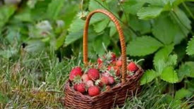 22 июня - Кириллин день. Традиции и народные приметы