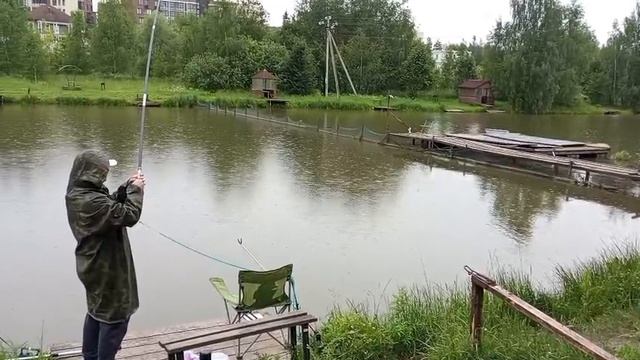 Светлые Горы Карп 22.06.2025г.