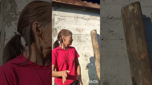 я бревно.mp4