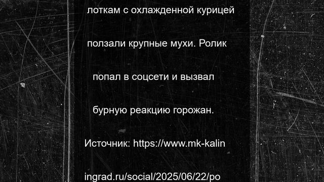 Покупатели нашли мух на курице в магазине