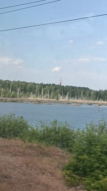 Сапсан