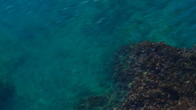 Красота под водой ч13