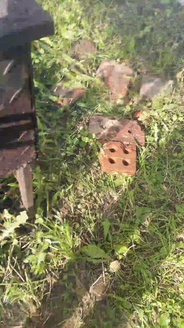 VID-20250621-WA0001.mp4