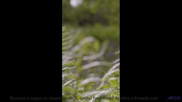 Вы не представляете, насколько прекрасен мир, пока не нажмёте Play! - Our Love Is Rich Enough -- Der