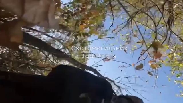 🔴«Супчик» трЫста🔴