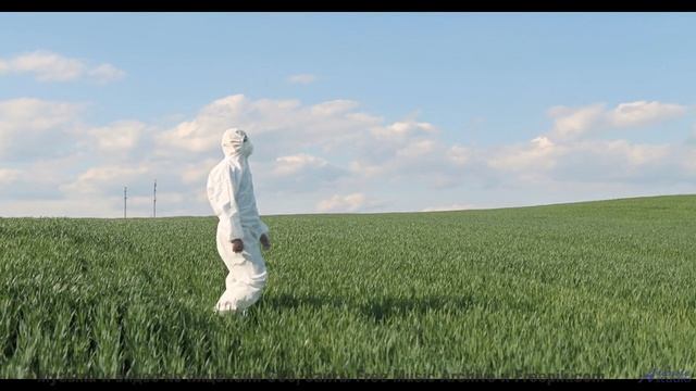 Музыка качает леса, словно волны на море - Oopsadaisy -- Ergo Phizmiz -- Disco Music for Armageddon