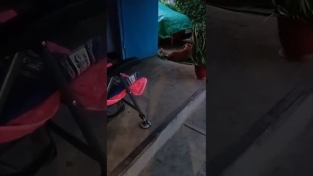 VID-20250622-WA0000