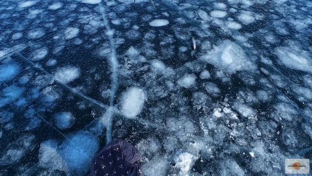 БАЙКАЛ! Что поймал на глубине 200 метров?! Рыбалка на омуля 2025 #ДАЙТЕПОРЫБАЧИТЬ