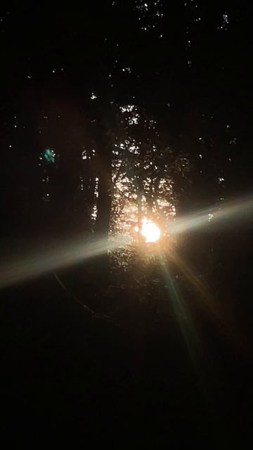 Звуки природы