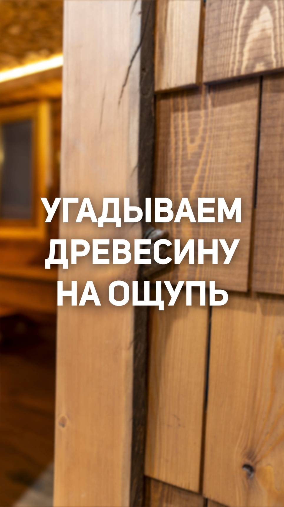 Узнаём древесину на ощупь, не глядя!