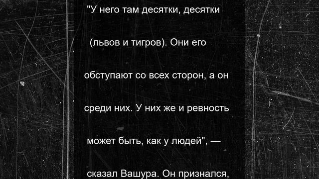 Раскрыто, как Зубков обращался с напавшими на него львами