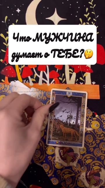 Волк в мыслях….За гранью сказочной Надежды 🐺💭