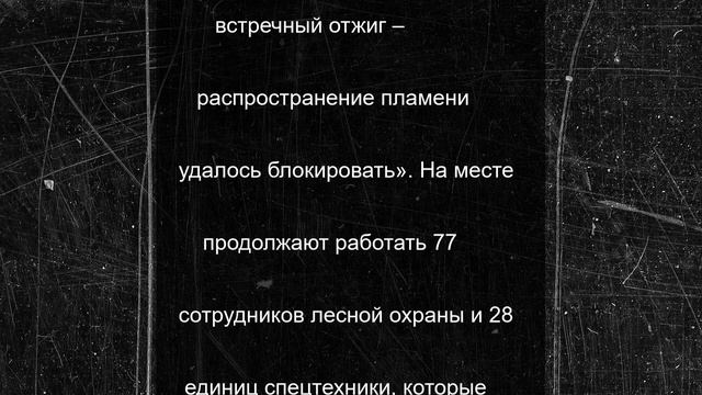 Лесной пожар в иволгинском районе локализован и взят под контроль