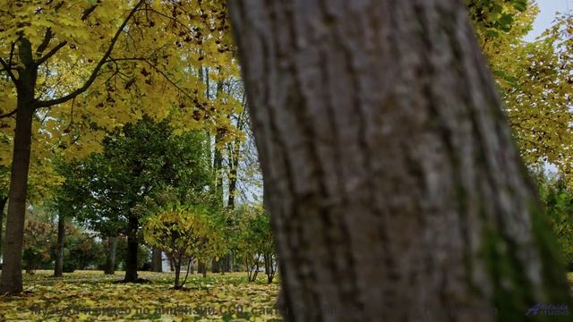 Пейзажи звучат сильнее любого оркестра здесь - Country Road Drive -- Scott Holmes Music -- Rock Back