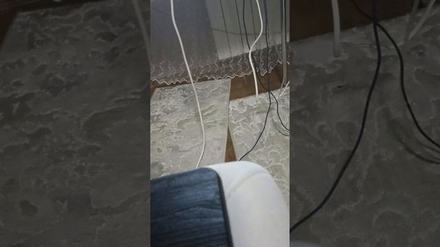 1000009101.mp4