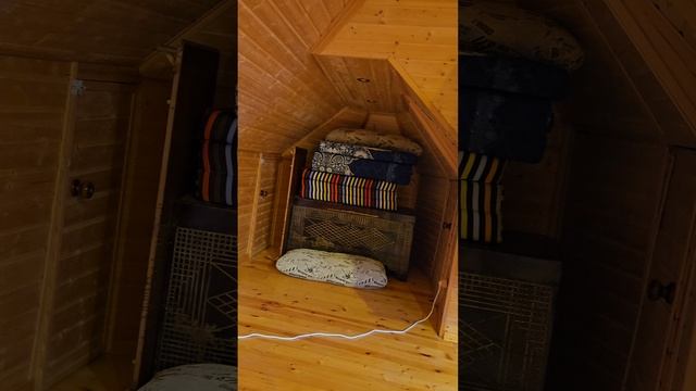 1000192857.mp4