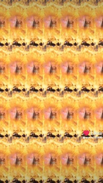 1000058803.mp4