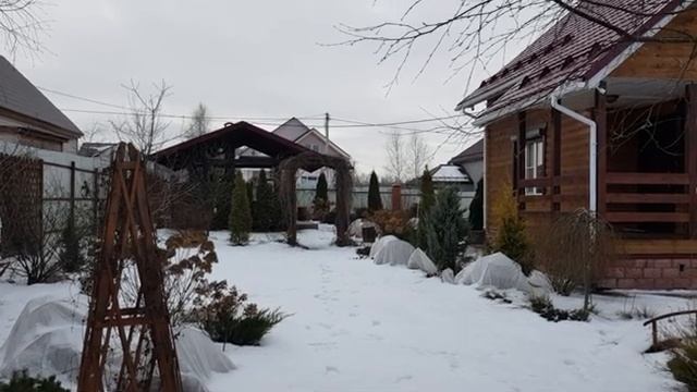 Мой зимний сад и огород часть (11)
