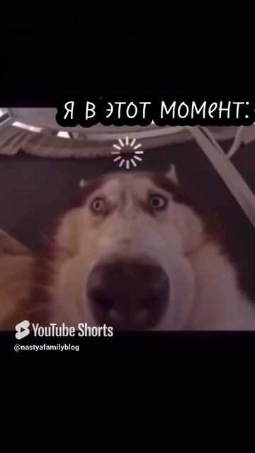 память как у рыбки😅
