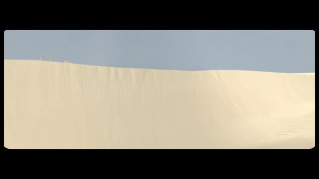 MGMT - Congratulations (Official Video)