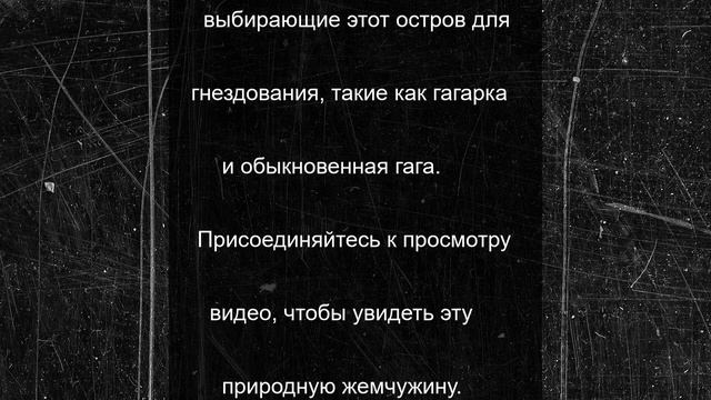Остров Пурлуда: природный рай Онежского залива
