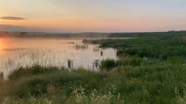 BioTeach В гостях  у сказки