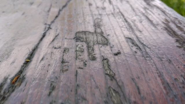 Лес