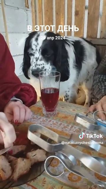 Надо покушать...)))
