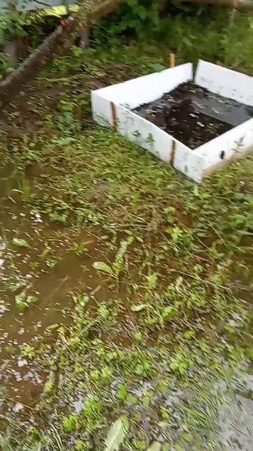 after a "light" (according to forecasters) rain - последствия ночного "небольшого" дождика)))