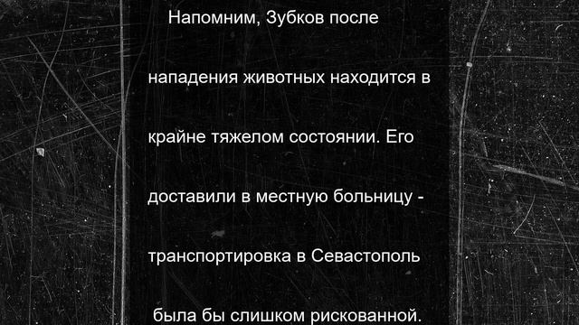 Опубликовано видео нападения львов на владельца Тайгана Зубкова