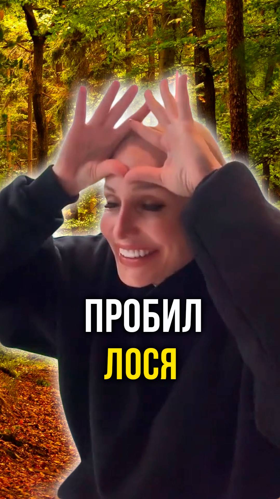 Пробил лося