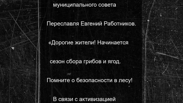 В Переславском районе засняли семью медведей