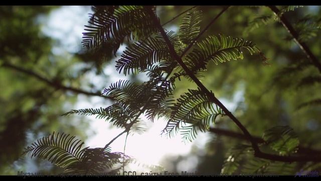 Эта песня - ваш секретный код для спонтанных путешествий - For Me -- Ketsa -- Through to Fall