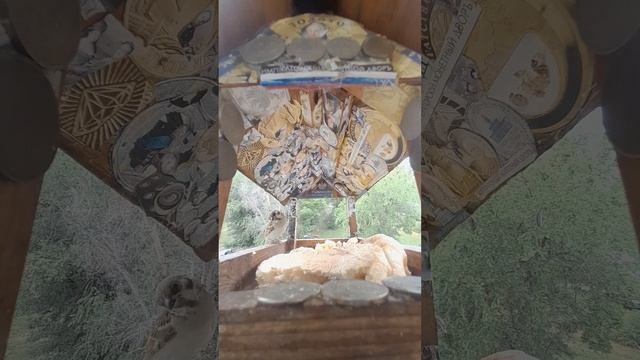 1000045116.mp4Жизнь кормушки.22.06.2025г.