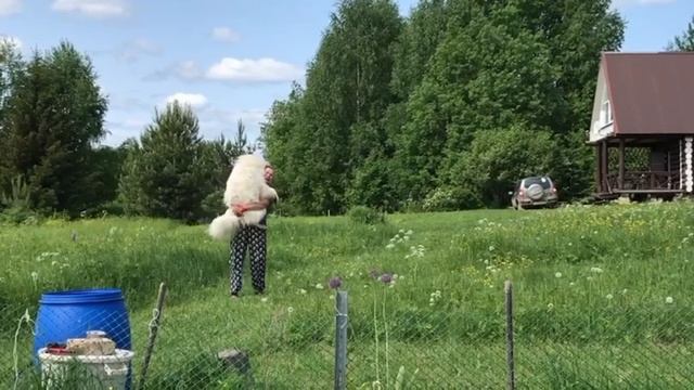 1000034045.mp4