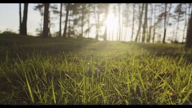 Музыка создаёт внутри личный космос из чувств - Crawling For Freedom -- Famous Logs In History -- Li