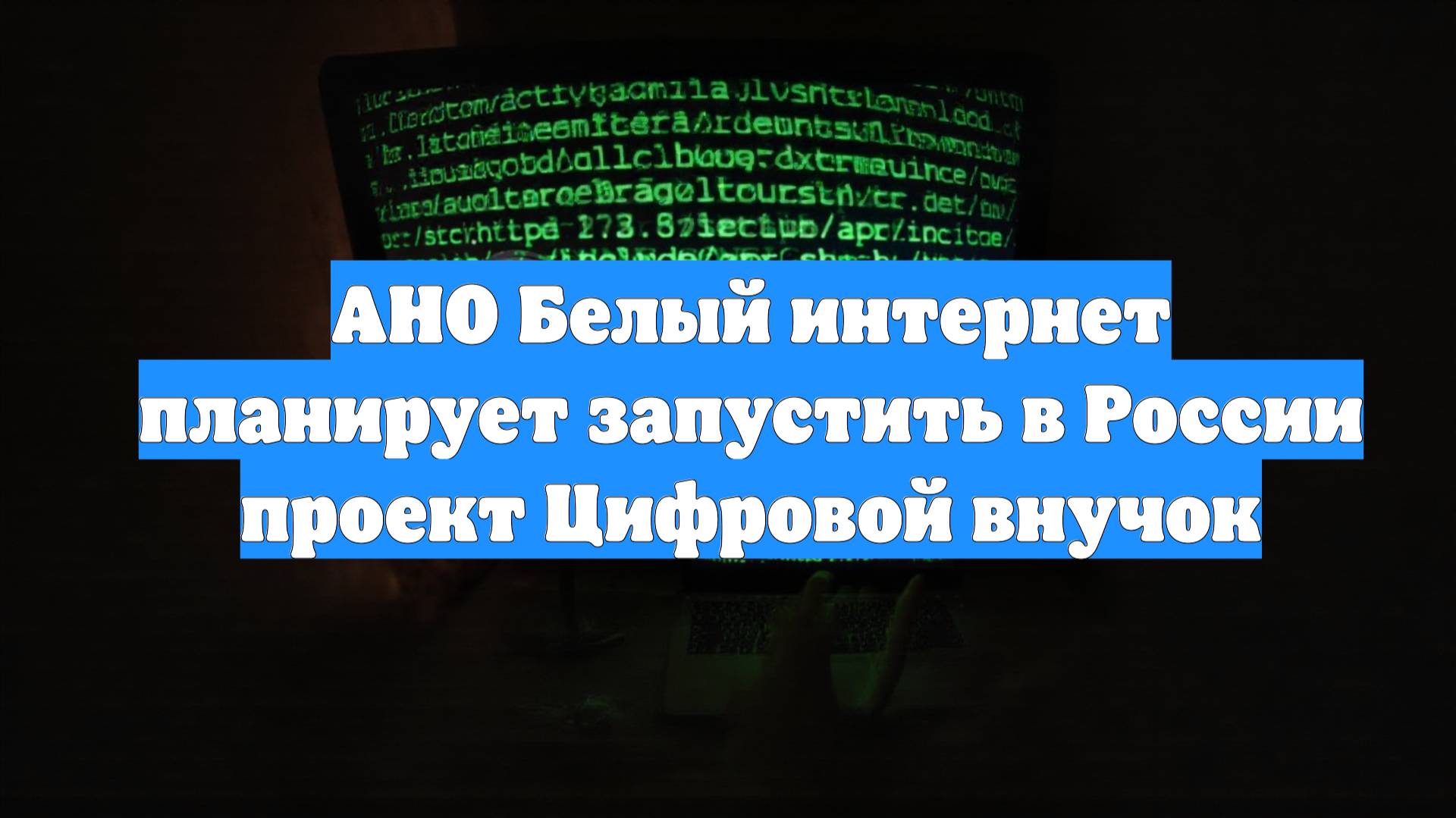 АНО Белый интернет планирует запустить в России проект Цифровой внучок