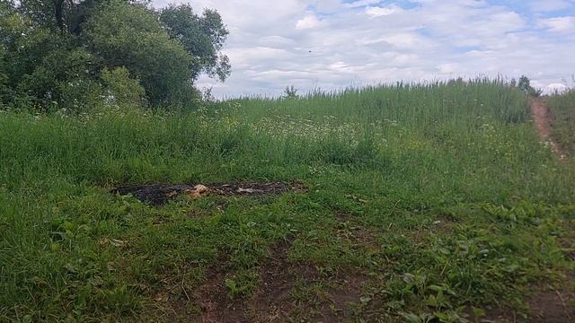защита от комаров Рефтамид проверено на себе