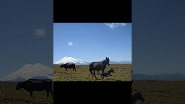 1000352589.mp4