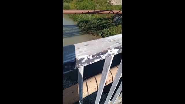 1000023443.mp4 Америка и Россия