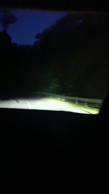 1000024050.mp4